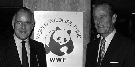 wwf founded|wwf ownership.